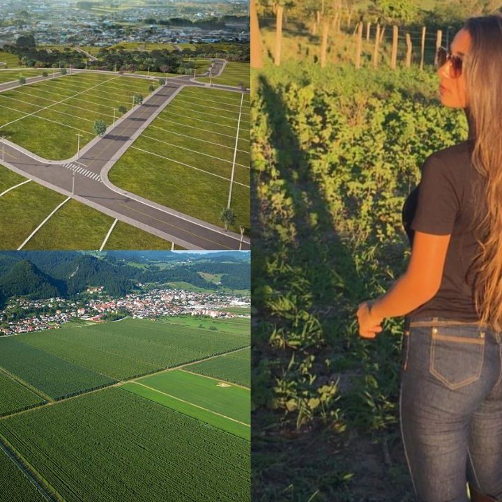 Como Lotear Uma Propriedade Rural Em