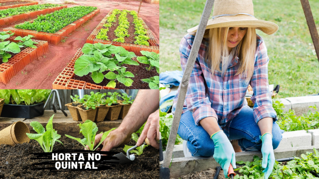 Cultivando uma Horta no Quintal