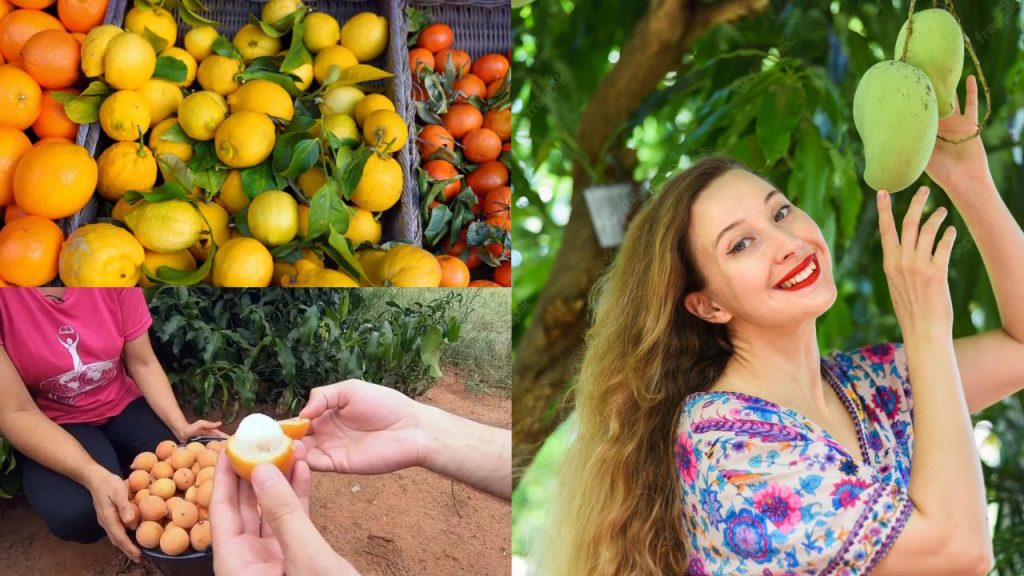 Cultivo de Frutas da Roça