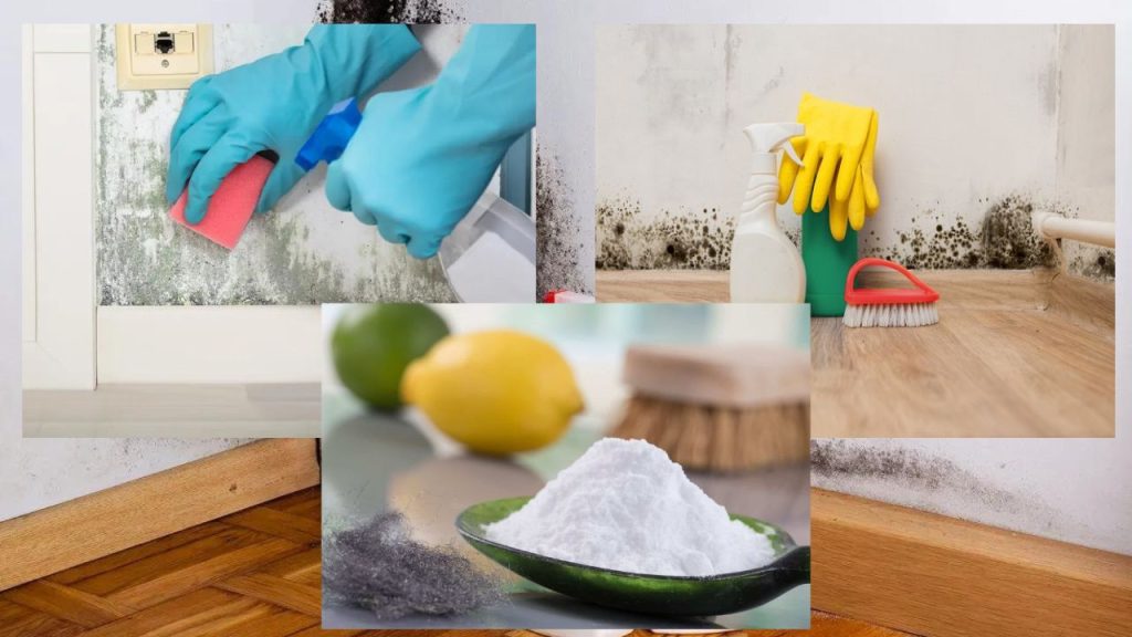 Dicas Infalíveis para Eliminar o Cheiro de Mofo do Quarto