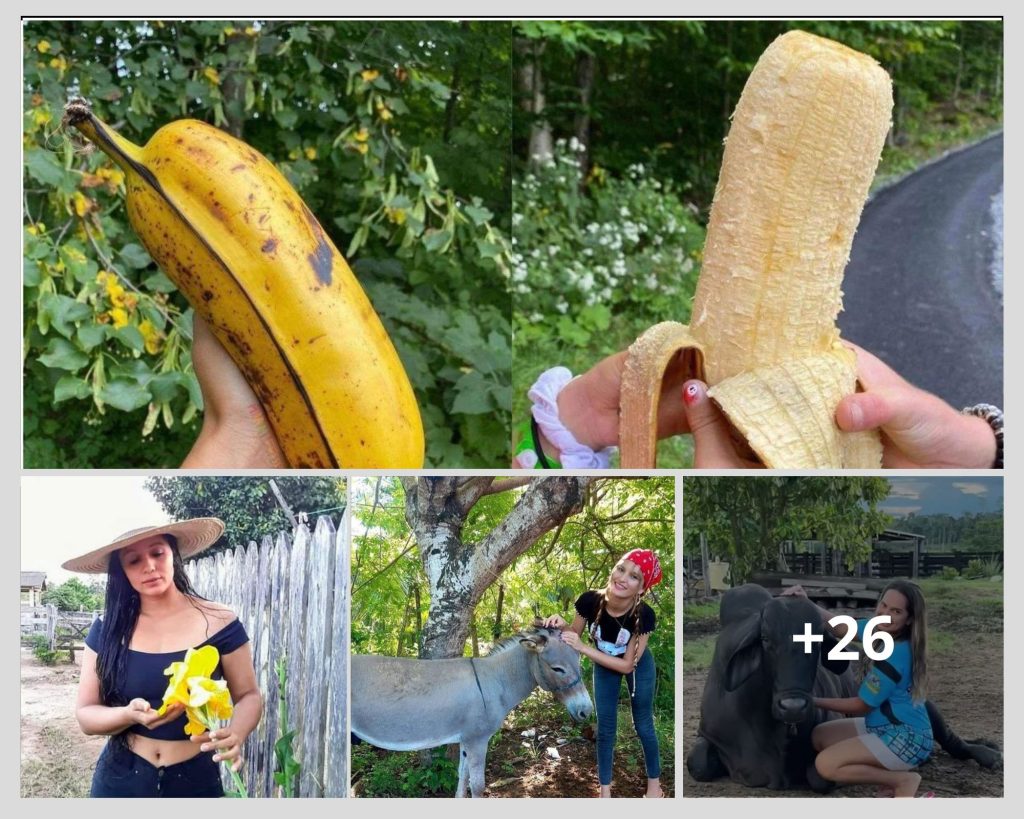 Como Viver na Roça com Pouco Dinheiro