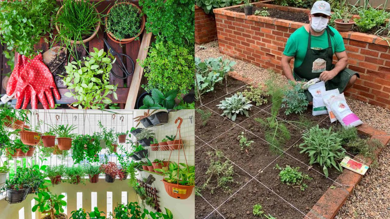 Planejando e Criando uma Horta Orgânica em Sua Casa