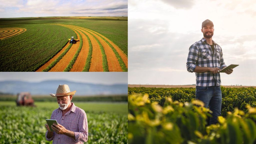 Agricultura Rentável em São Paulo