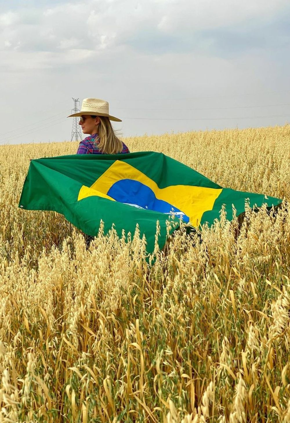 Agro no Brasil