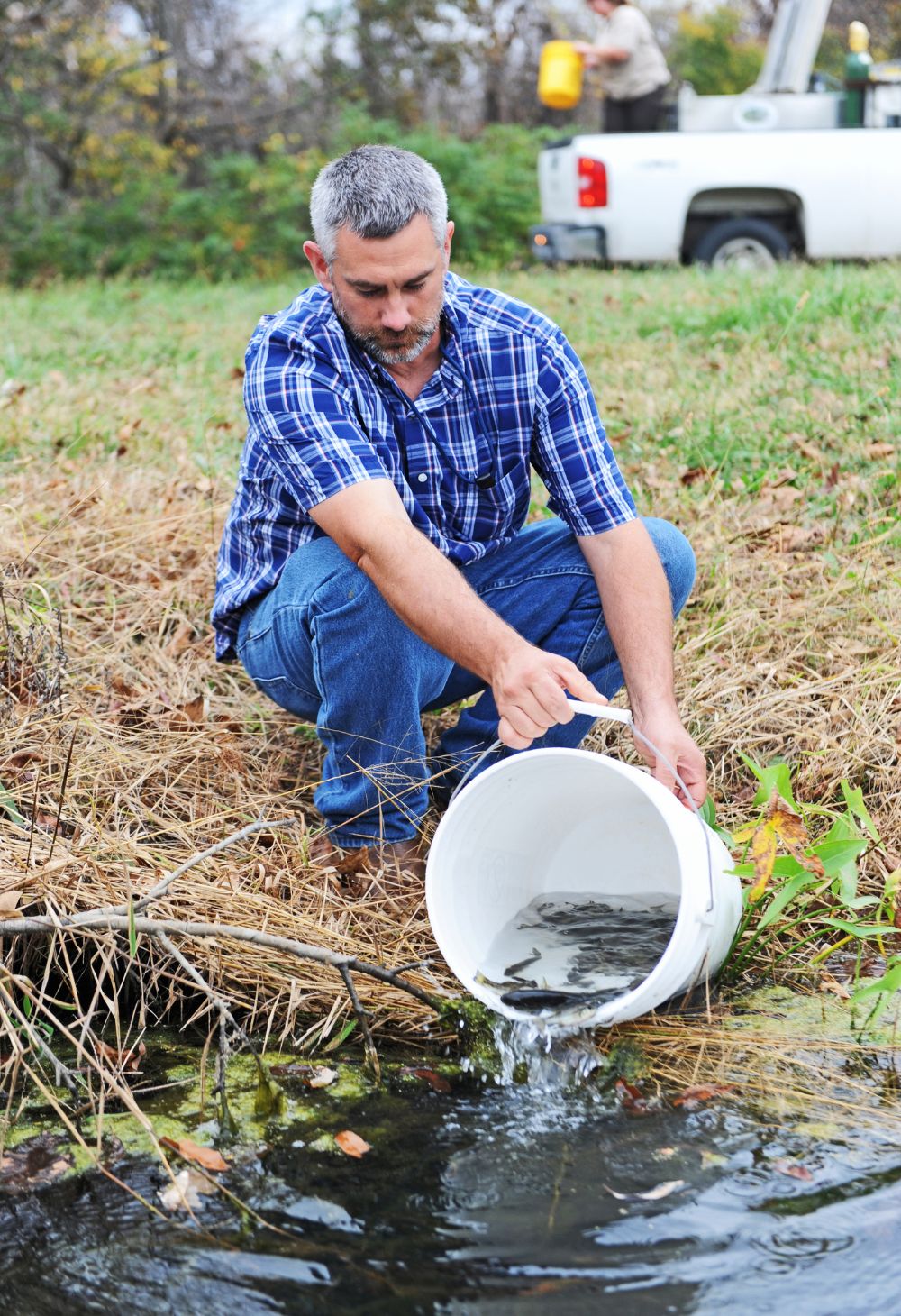 Criação Sustentável de Peixes em Tanques