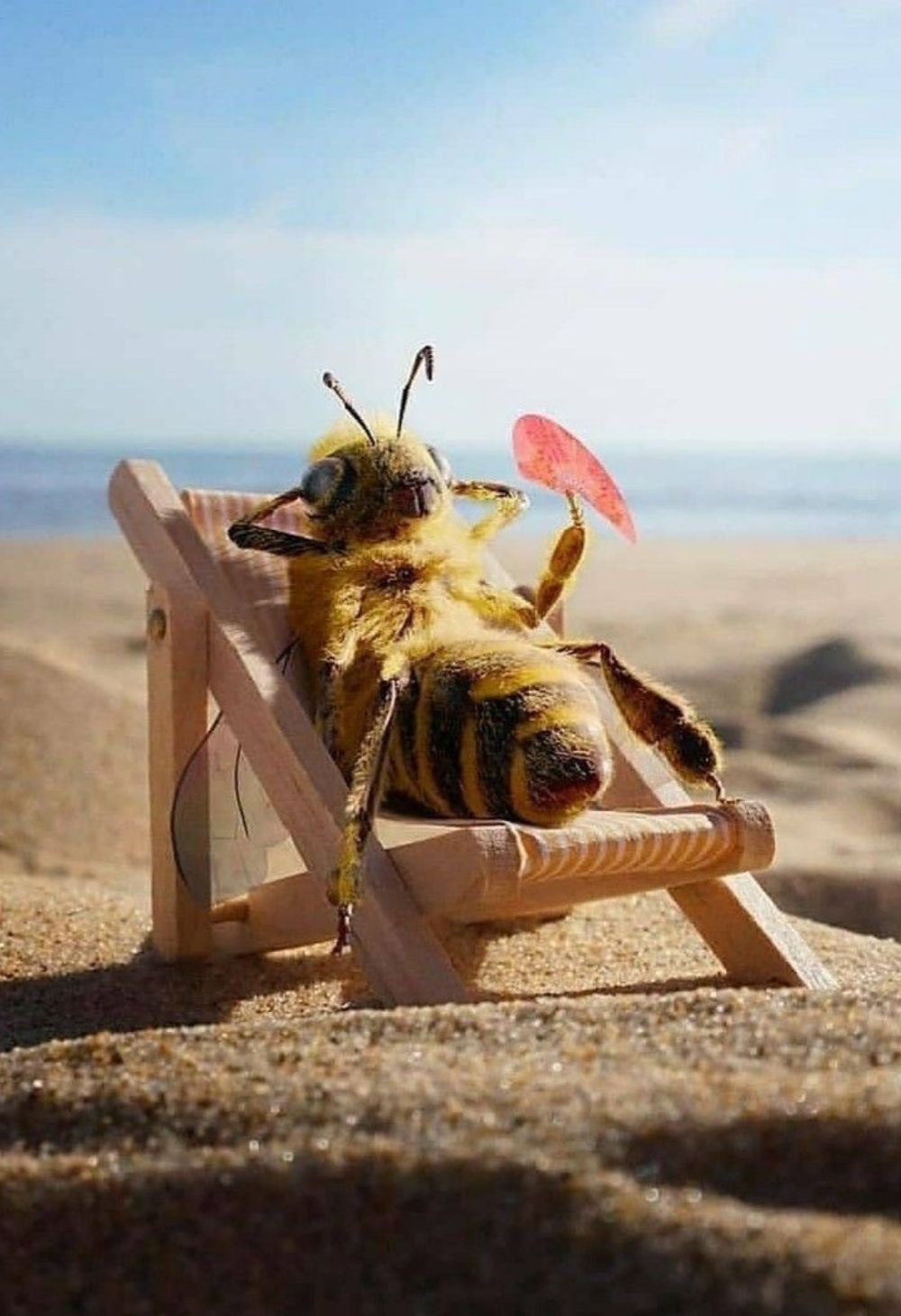 Hobby de Criar Abelhas