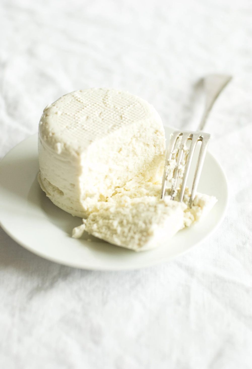 Produção de Queijo Minas Artesanal