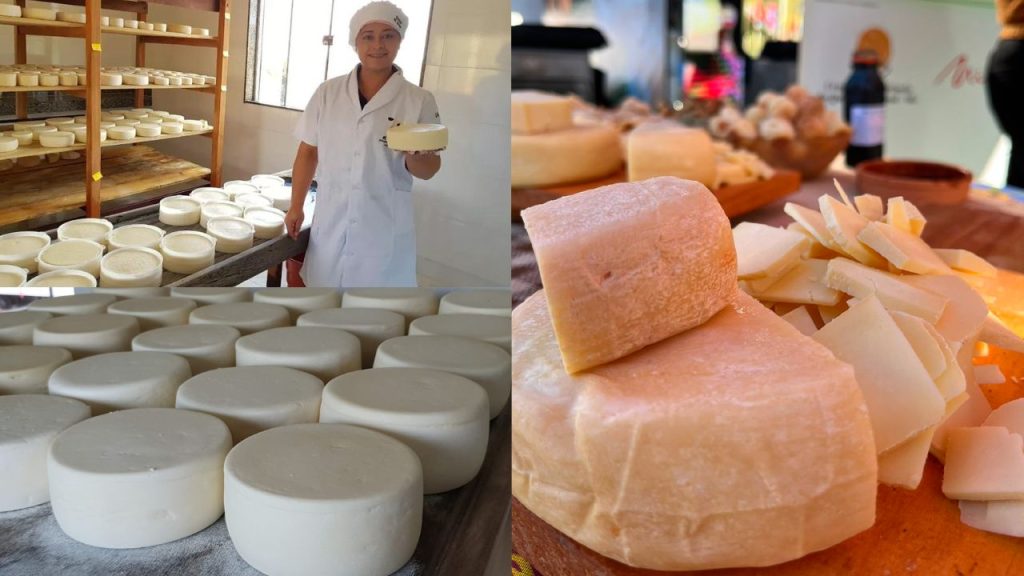 Produção de Queijo Minas Artesanal
