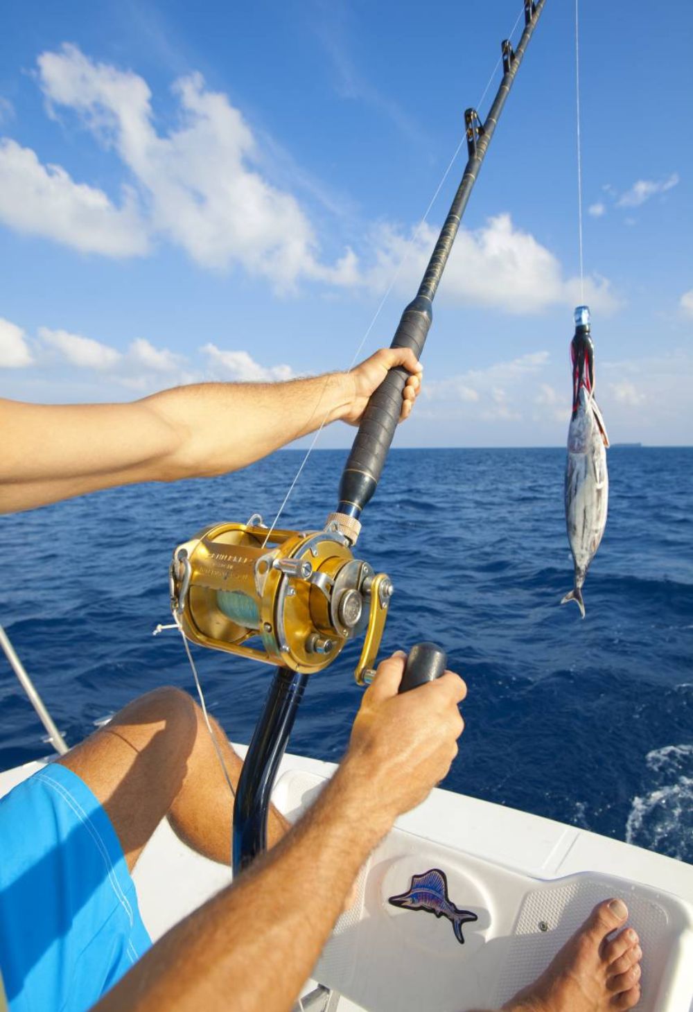 Benefícios da Pesca como Hobbie