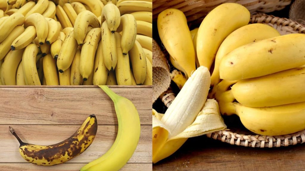 Como Lucrar na Venda de Bananas