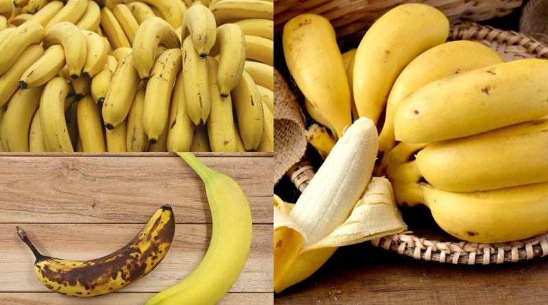 Como Lucrar na Venda de Bananas