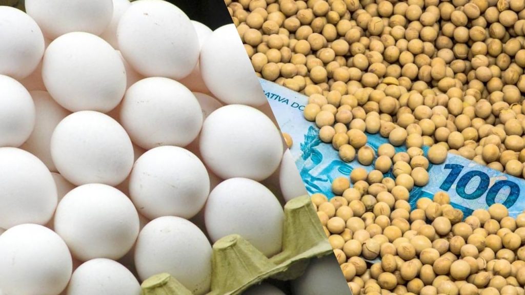 Estratégias para um Pequeno Comércio na Roça