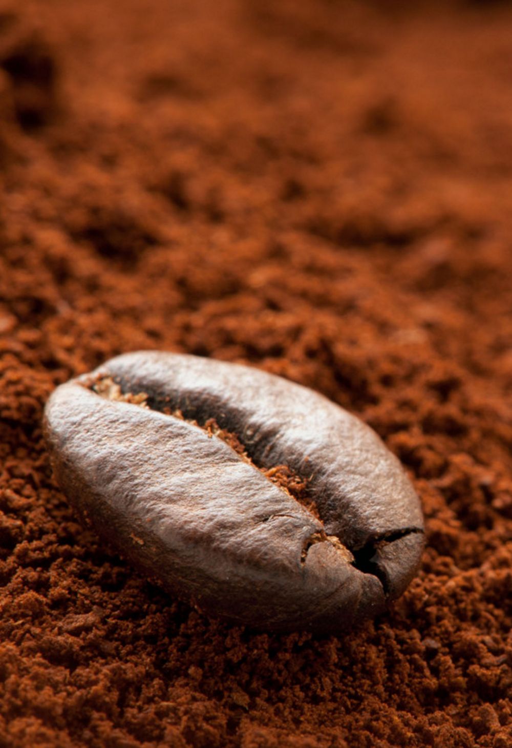 Exportação de Café