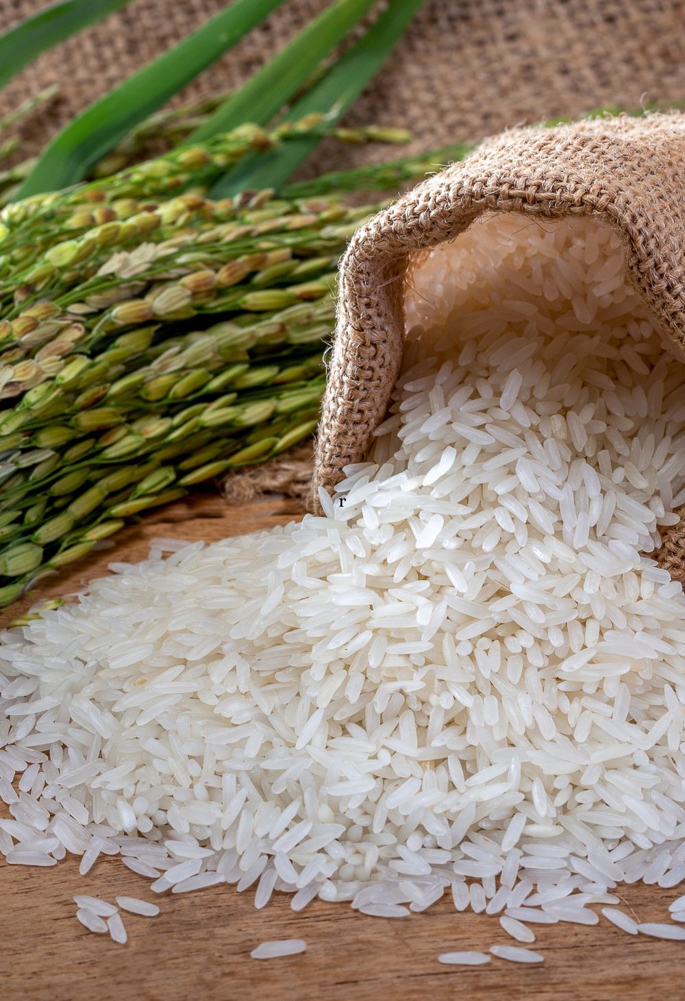 Países que Mais Plantam Arroz