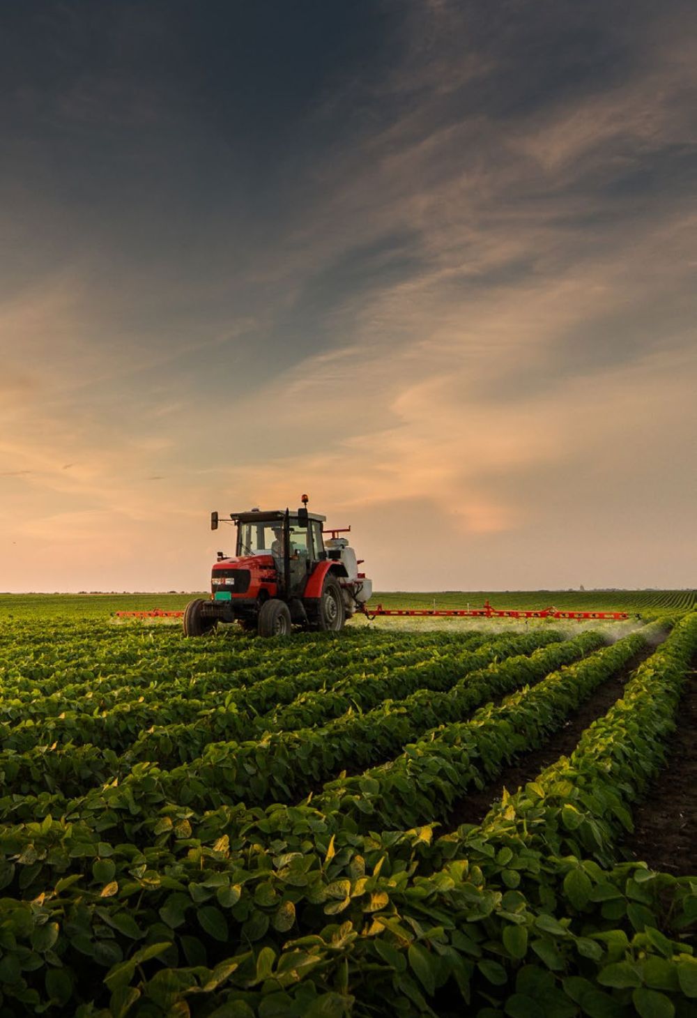 Panorama do Mercado Agrícola Brasileiro