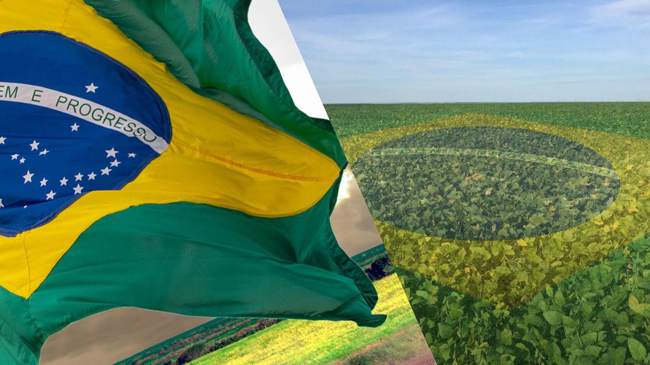 Agronegócio Brasileiro