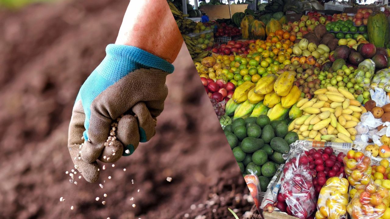 Produtos Agrícolas