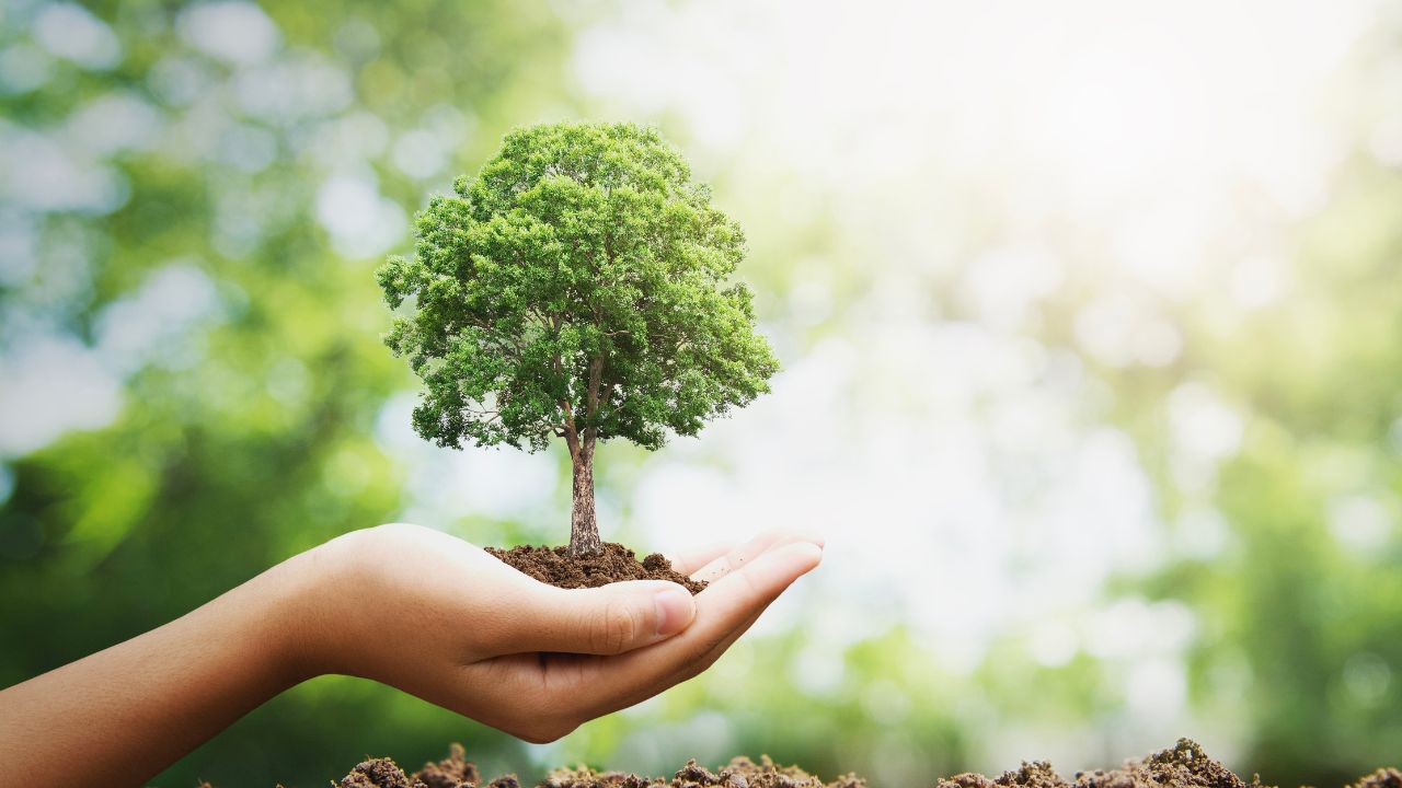Sustentabilidade e Ambiente