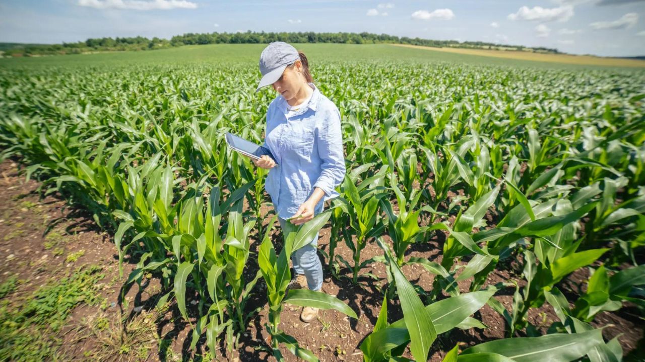 Agricultura Oque é
