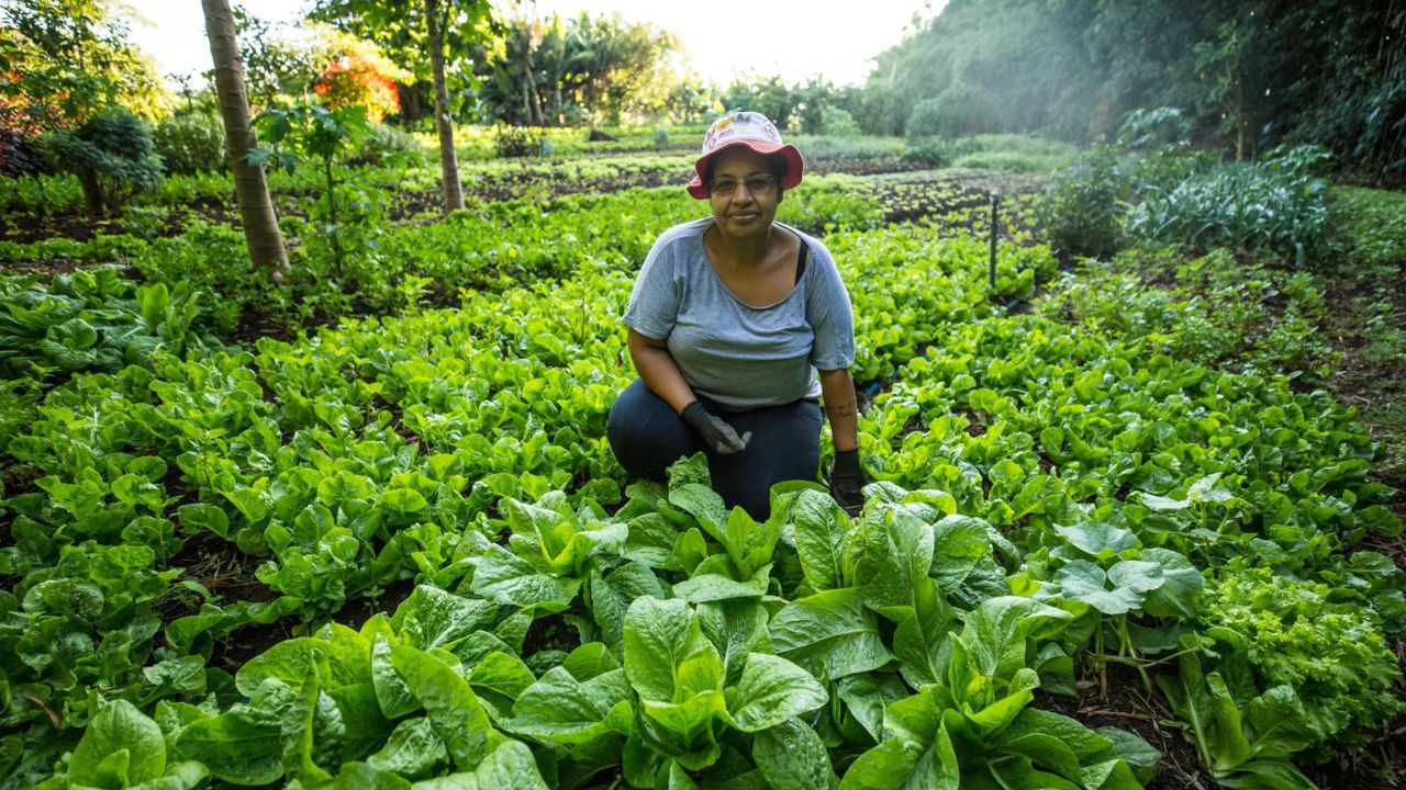 Agro Ecologia