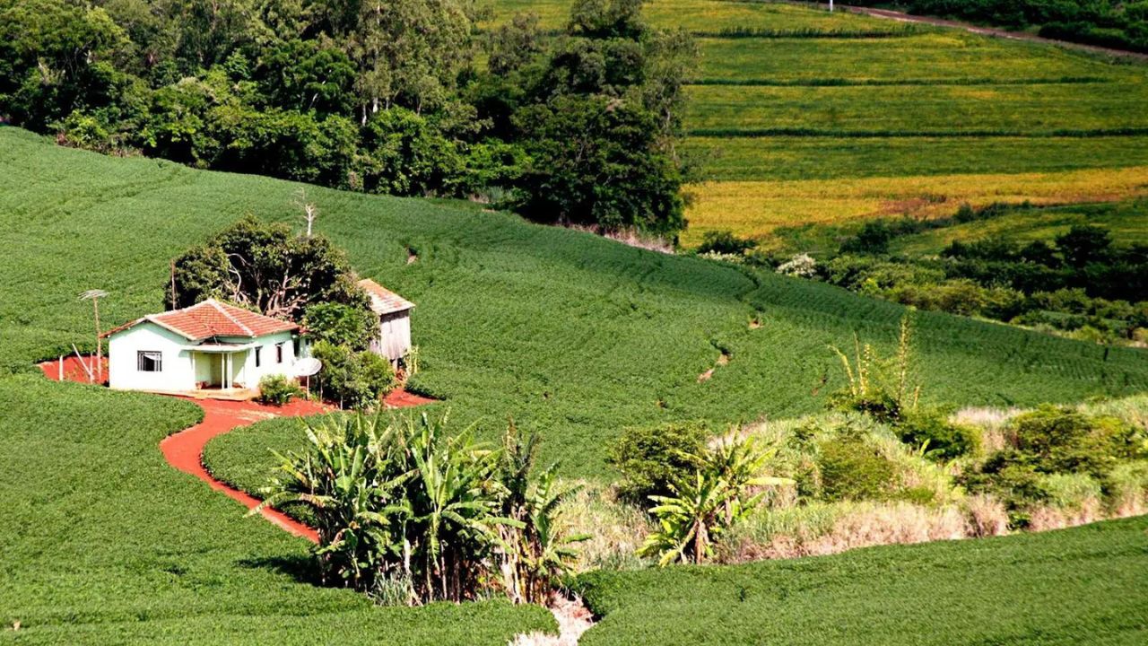 Área Rural