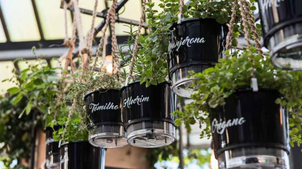 Horta Suspensa