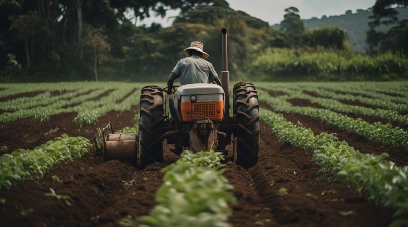 Oque e Agropecuária